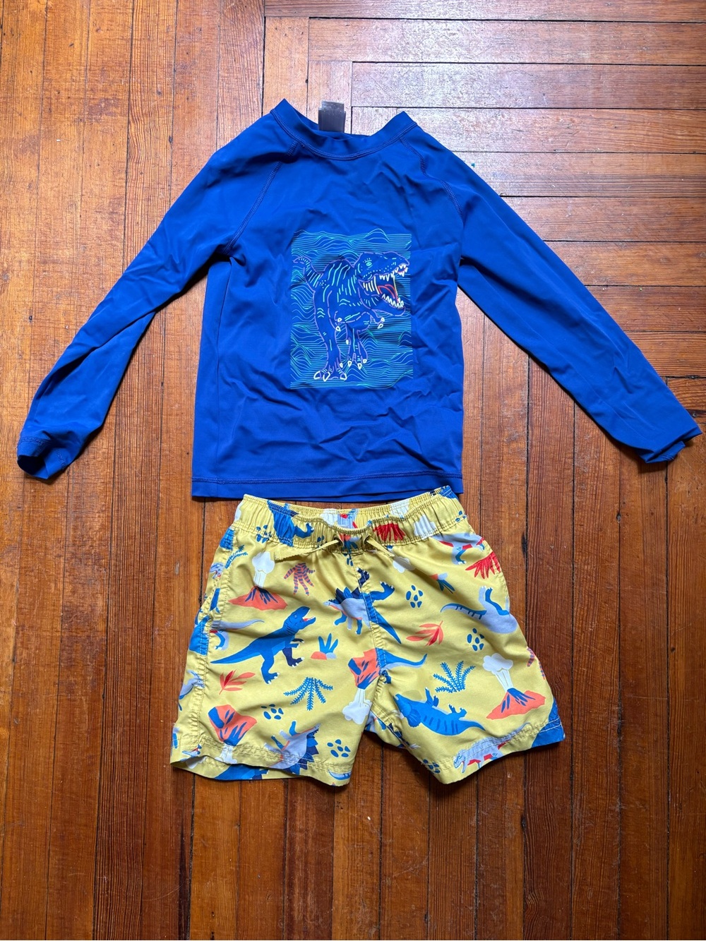 Hanna Andersson boys swim set